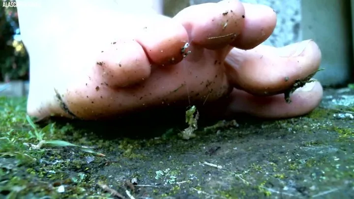 Closeup Dirty Barefoot Feet and Toes