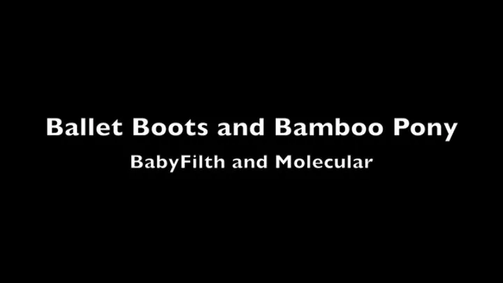 Ballet Boots and Bamboo Pony