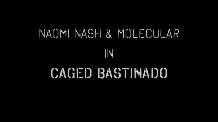 Naomi Nash's Caged Bastinado