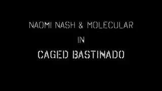 Naomi Nash's Caged Bastinado