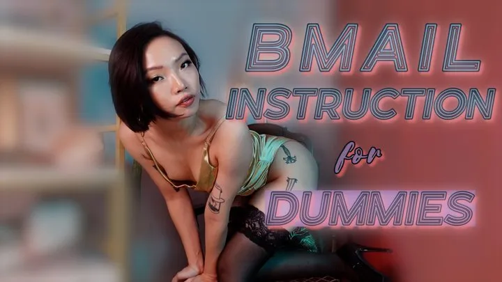 Blackmail-fantasy Instructions 4 DUMMIES