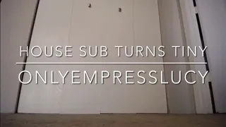 House sub turns tiny