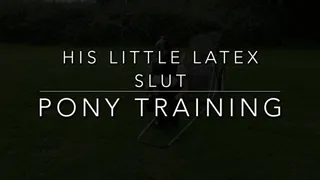 Pony Training