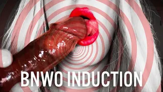 BNWO Induction