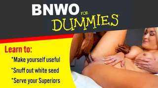 BNWO for Dummies