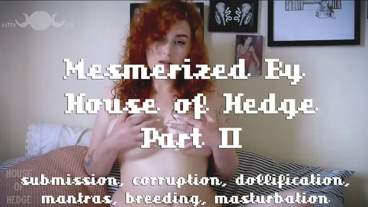 Mesmerized by House of Hedge - Part II