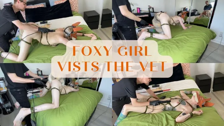 Foxy Girl Visits the Vet
