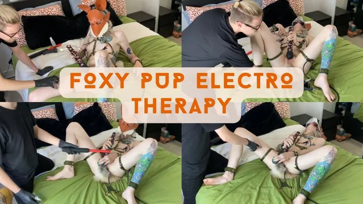 Fox Pup Electro Therapy