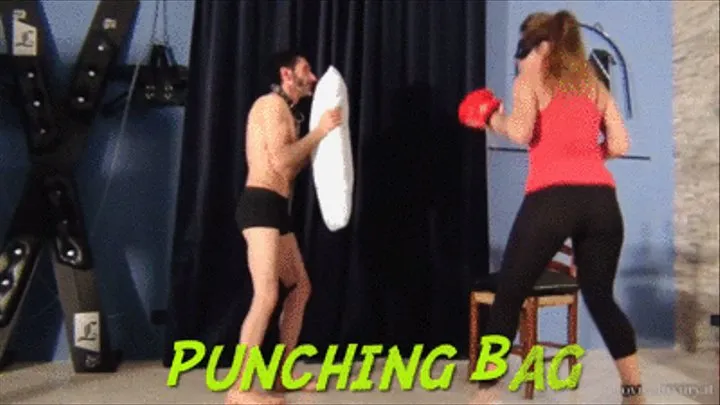 PUNCHING BAG