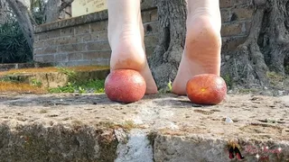 Crushing red oranges in Italy