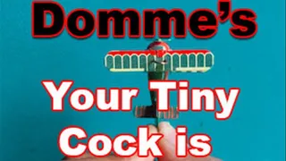 Your Tiny Cock is Just Adorable!