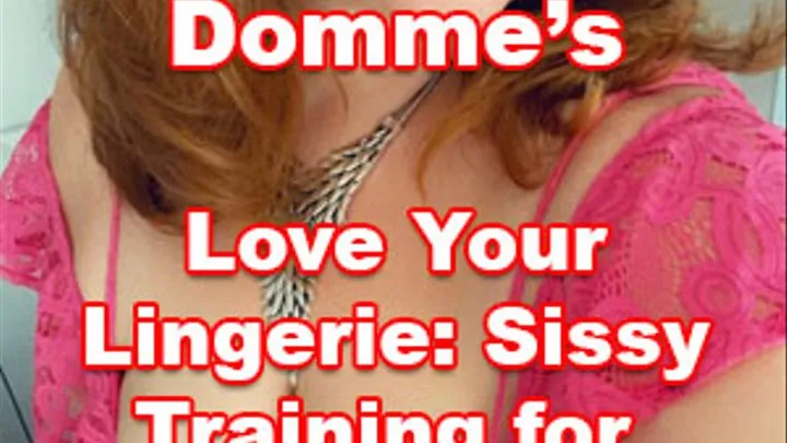 Love Your Lingerie: Sissy Training for Silly Sluts