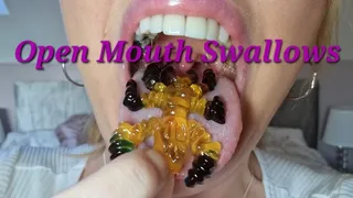 Large open mouth swallows