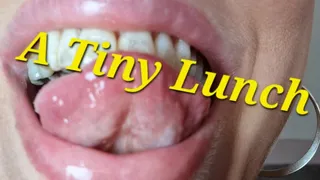 Vore: A Tiny Lunch