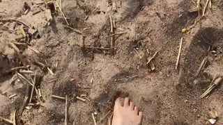 My Summer Feet (beach, sand and water)