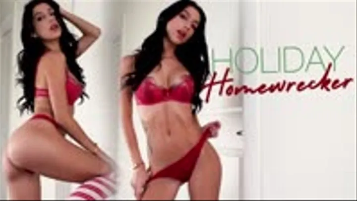 Holiday Homewrecker