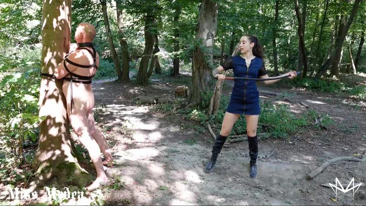 Nettles and Whips in the Woods