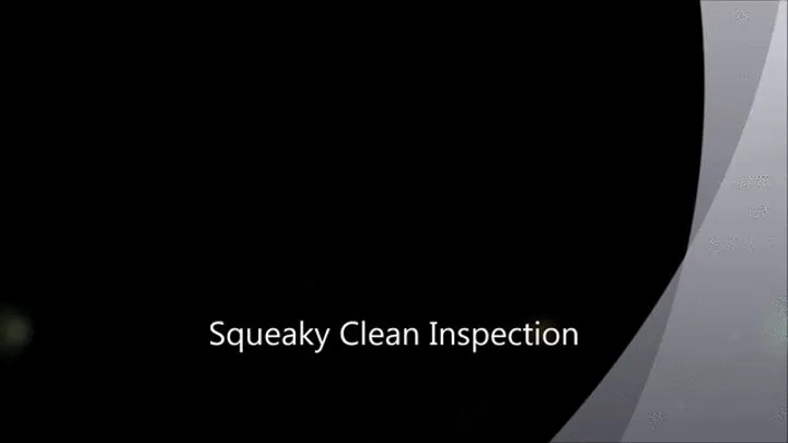 Squeaky Clean Inspection