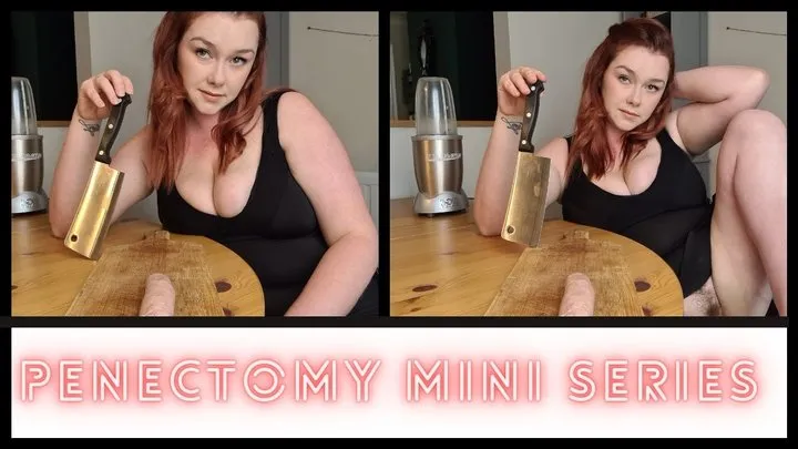 Penectomy Mini Series