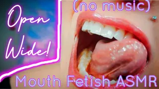 Open Wide! Mouth Fetish ASMR (No Music)