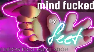 Mind Fucked By Feet: A Findom Foot Humiliation