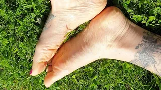Compilation of Bare Toes Teasing You! Close Ups of Natural Nails, Bound Big Toes, & My Purple Pedicure Playing Barefoot in the Grass for You! Voyeur POV!