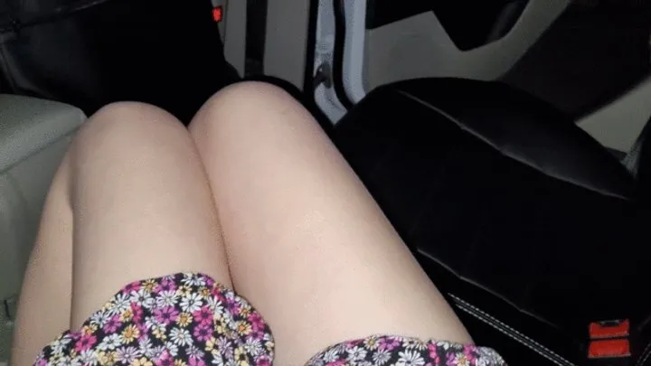 Unprotected Sex and Creampie with a Stranger in the Car