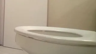 Stuck in my Toilet