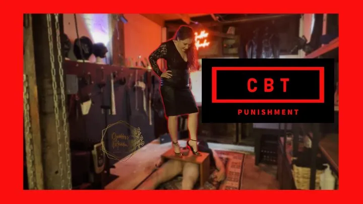 CBT Punishment