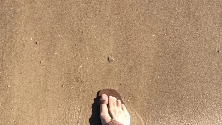 Dipping My Toes in Lake Erie