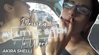 Driving My Little Bitch To Work (Re-Mastered)