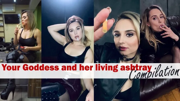 Your Goddess and her living ashtray - Compilation