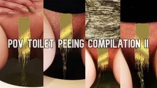 POV Peeing Toilet Compilation II