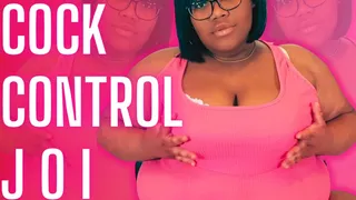 Cock Control JOI