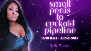 Small Penis to Cuckold Pipeline