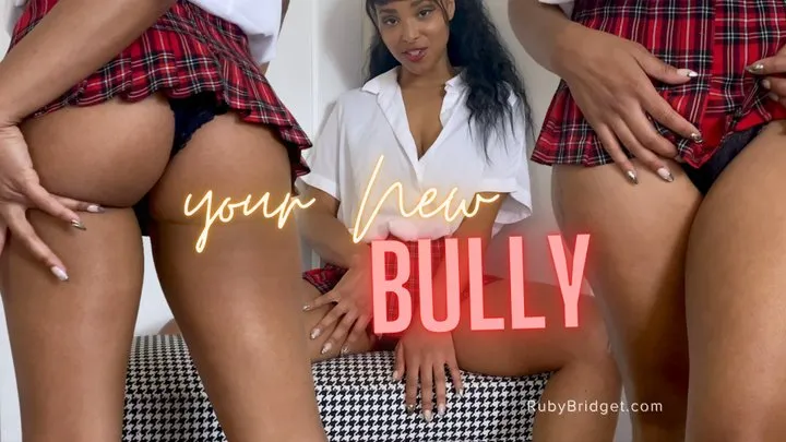 your New Bully