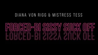 Slave on Sissy BiSexual Coercion