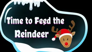 Time to Feed the Reindeer