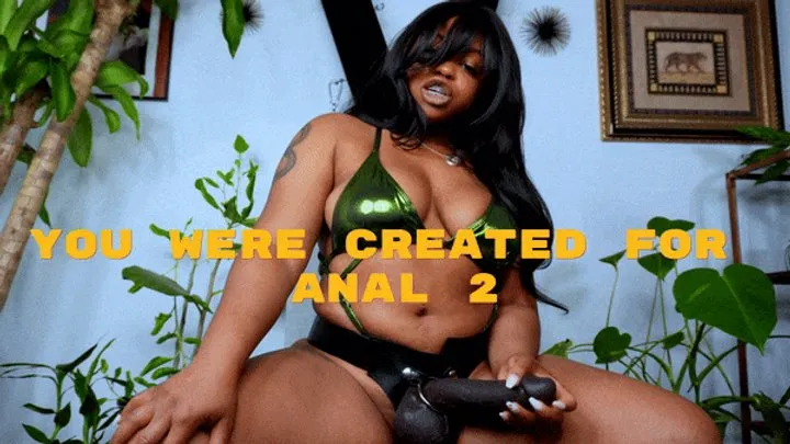 Audio: You Were Created For Anal 2