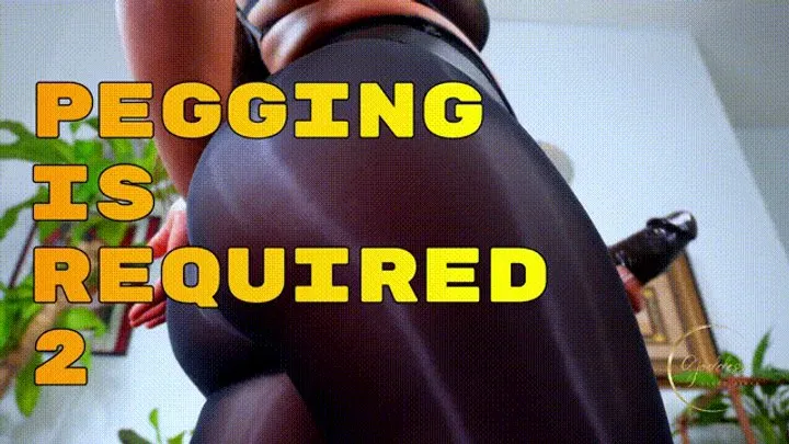 MP3:Pegging Is Required 2 1