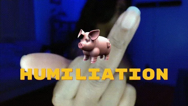 Pig Humiliation (Cam Show)