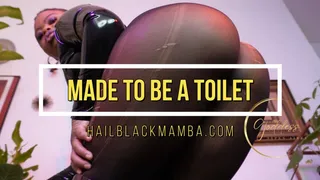Audio: Made To Be A Toilet