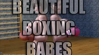 Beautiful Boxing Babes [3D Comic]