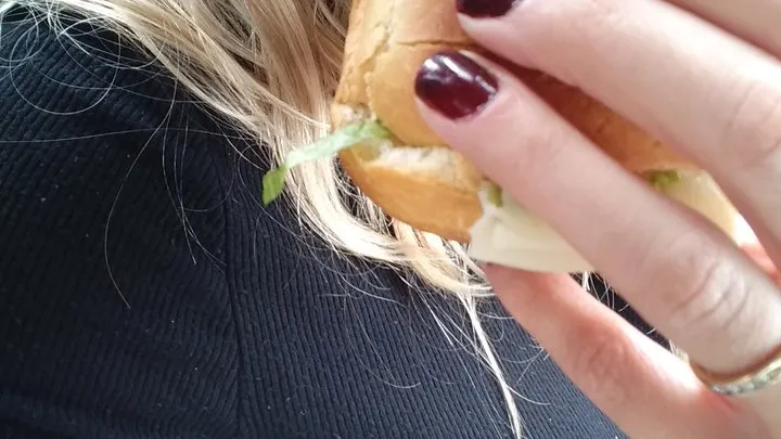 Penny food in car sub sandwich