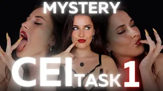 Sophia Truee's Mystery CEI Task 1