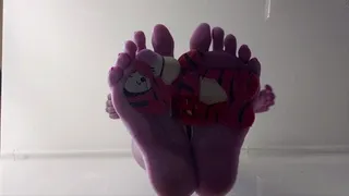 Sandra's Barefoot under glass crushing little tinies and pluchies PART2