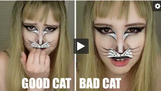 Good Cat or Bad Cat