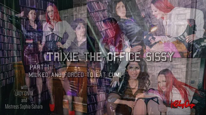 Trixie The Office Sissy