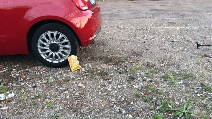 Ms Curious crushing snacks with the Fiat 500