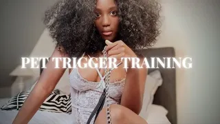 SEDUCED | PET TRIGGER TRANCE TRAINING (PART 2)